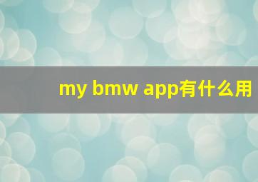 my bmw app有什么用